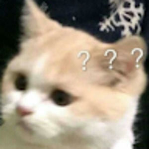 Meet your Posher, Tyra